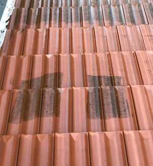 Nettoyage et traitement