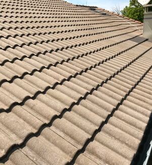 chantier genas nettoyage toiture traitement anti mousse curatif et préventif